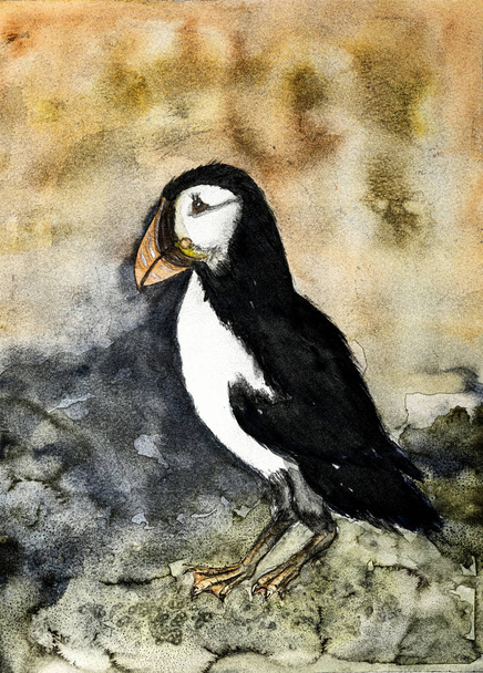 Rustic painting of a puffin on an orange and blue background. The dabbing technique near the edges gives a soft focus effect due to the altered surface roughness of the paper. - Photo, Image