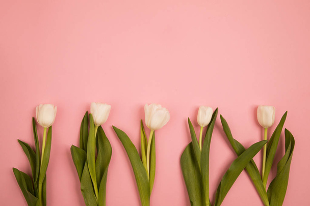 Postal de flores de tulipán
 - Foto, Imagen