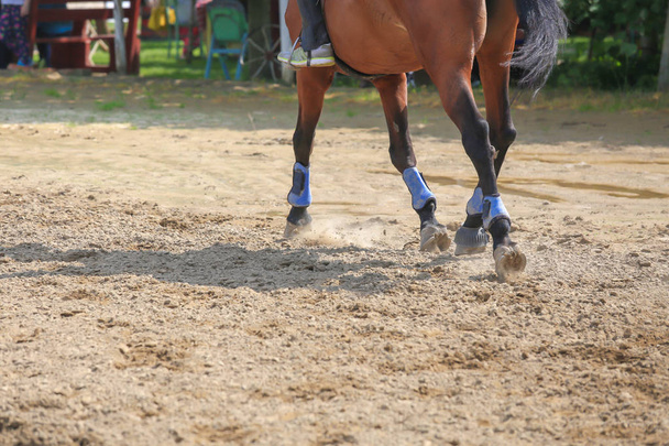 Pie de caballo corriendo sobre la arena. Primer plano de las piernas galopando
  - Foto, imagen
