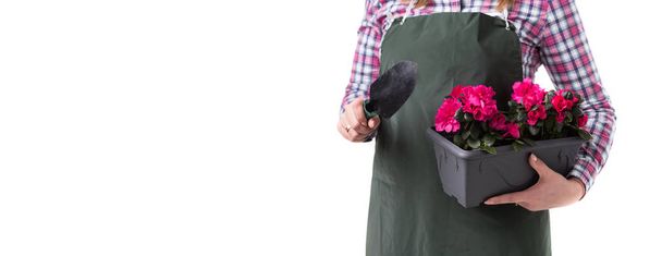 mujer jardinero profesional o florista en delantal sosteniendo flores en una olla y herramientas de jardinería aisladas sobre fondo blanco. Copiar espacio
 - Foto, Imagen