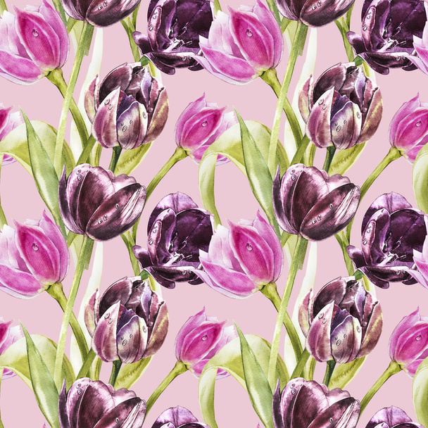 Flowers of Tulips. Watercolor hand drawn botanical illustration of flowers. Seamless pattern. - Foto, Imagem