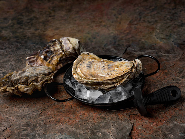 fresh oysters with ice in pan - Foto, afbeelding