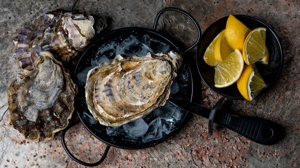 fresh oysters in pan with ice, lemon slices and knife  - Фото, изображение