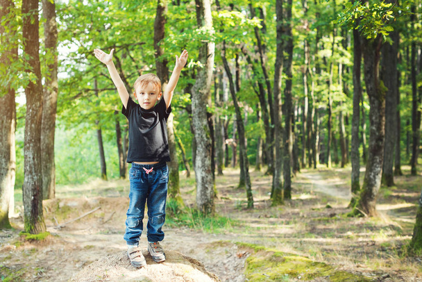 Kleiner Junge genießt Spaziergang und Spaß im Wald bei sonnigem Tag. - Foto, Bild