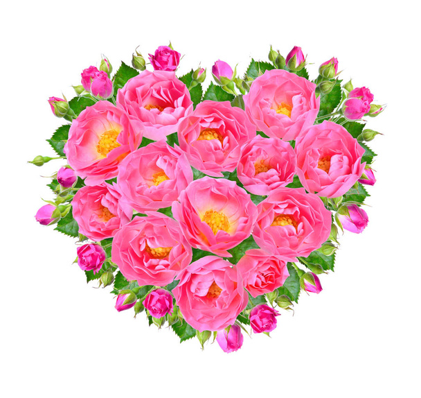Herz aus rosa Rosen. isoliert auf weißem Hintergrund - Foto, Bild