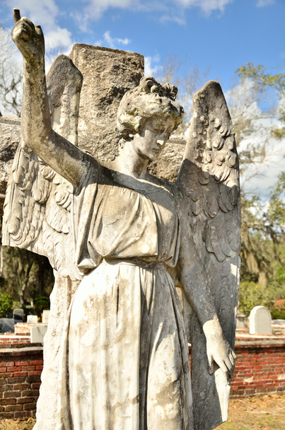 Vigilant angel of many years - Photo, Image