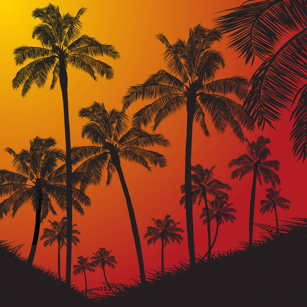 Tropische palm bomen silhouet op zonsondergang achtergrond - Vector, afbeelding