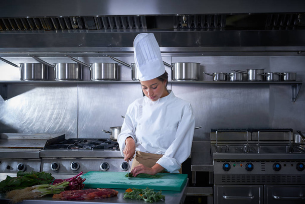 Chef woman portrait cutting at kitchen - Photo, Image