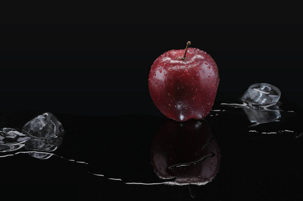 Omena ja sulava jää
 - Valokuva, kuva