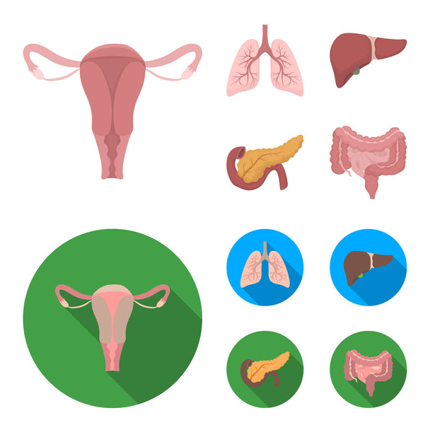 Uterus, lungs, liver, pancreas. Organs set collection icons in cartoon,flat style vector symbol stock illustration web. - Vektor, kép