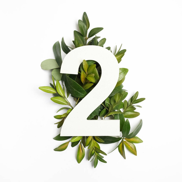 Number two shape with green leaves. Nature concept. Flat lay. Top view - Photo, Image