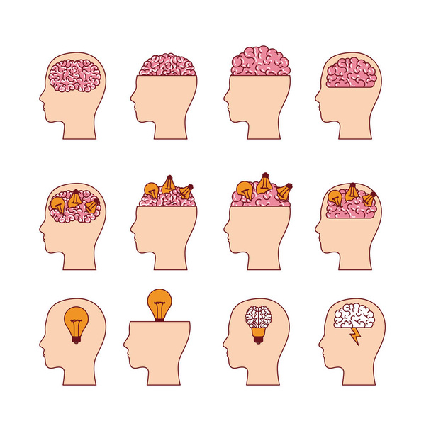 conjunto de cabeças com cérebros em fundo branco
 - Vetor, Imagem
