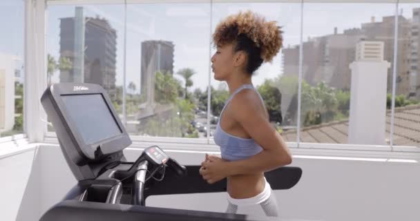 Selbstbewusstes Frauentraining im Fitnessstudio - Filmmaterial, Video