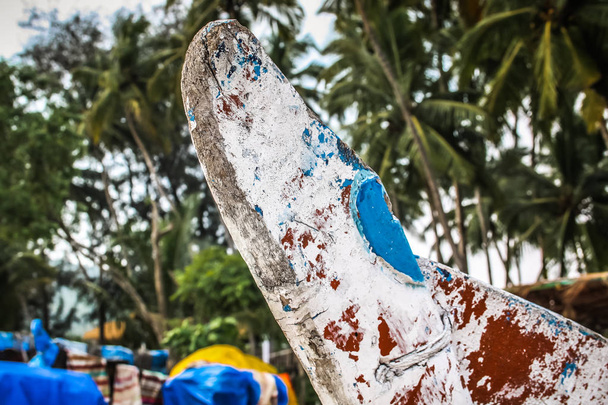 Kalaveneen lähikuva Etelä-Intiassa
 - Valokuva, kuva