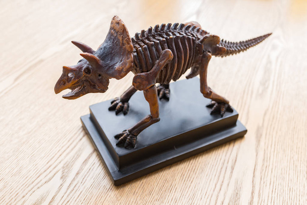 Triceratops σκελετό πάνω στο γραφείο - Φωτογραφία, εικόνα