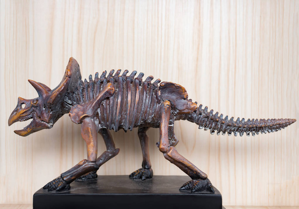 vista lateral Triceratops esqueleto
 - Foto, Imagen