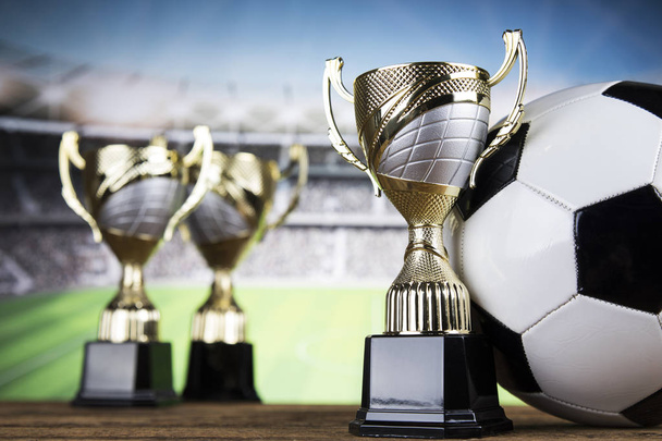 受賞者賞、スポーツ機器、ボールのカップ - 写真・画像