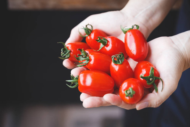 Wiśniowe pomidory śliwkowe pomidory - Zdjęcie, obraz