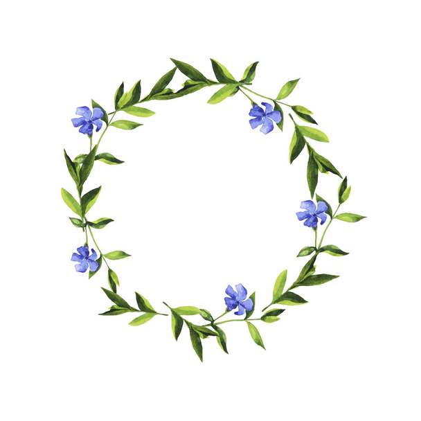 vector illustration design of beautiful green wreath with blue bell flowers pattern background  - Vektor, Bild
