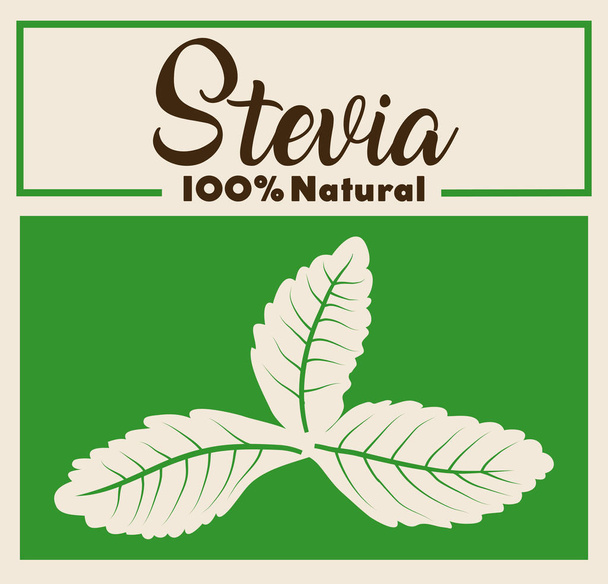 Stevia koncepcióterv  - Vektor, kép