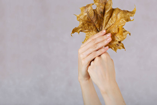 Dried maple leaves in the hands of young lady. - Photo, Image