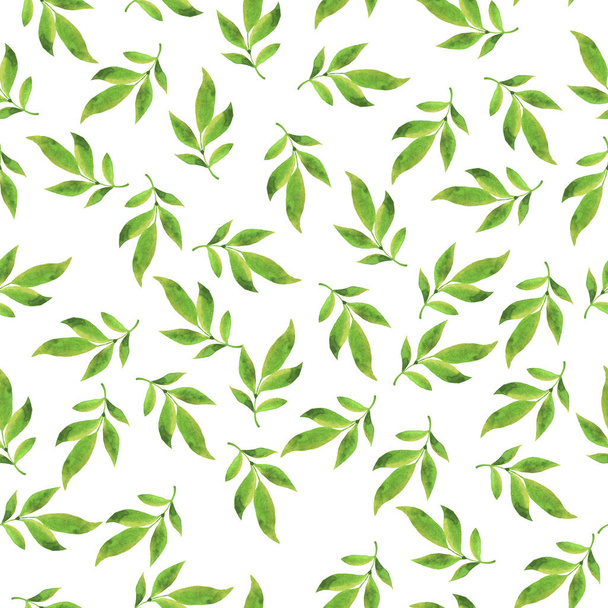 beautiful illustration of spring green leaves seamless pattern background - 写真・画像