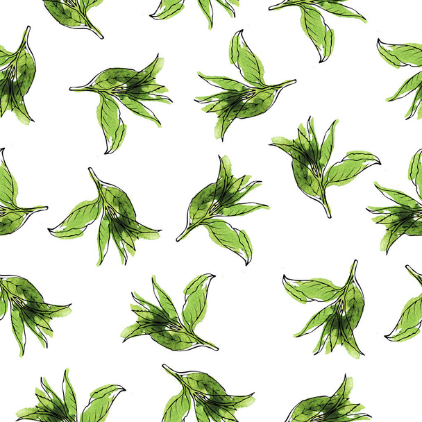 beautiful watercolor illustration of green tea leaves seamless pattern background  - Фото, изображение