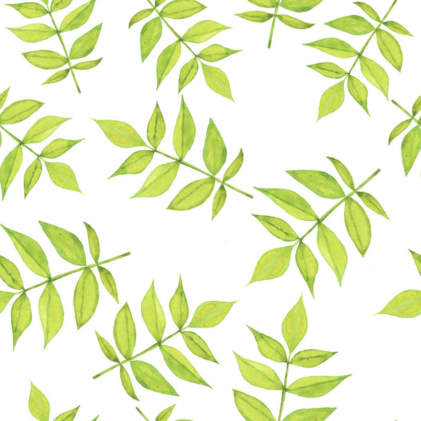 beautiful illustration of spring green leaves seamless pattern background - Fotoğraf, Görsel