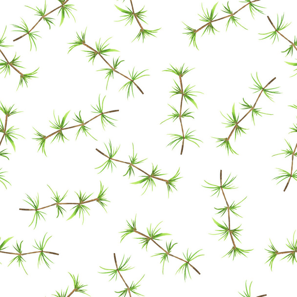 beautiful hand-drawn illustration of green pine tree branches seamless pattern background  - Photo, image