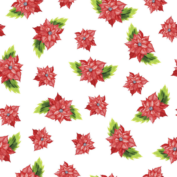 beautiful watercolor painting of red poinsettia flowers seamless pattern background  - 写真・画像