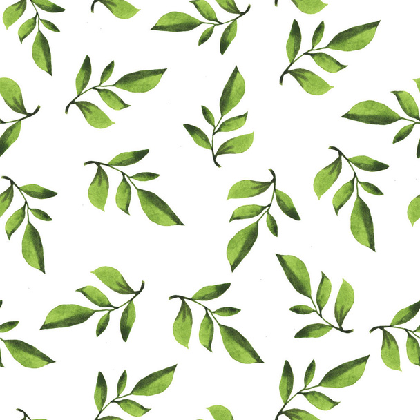 beautiful illustration of spring green leaves seamless pattern background - Foto, Imagen