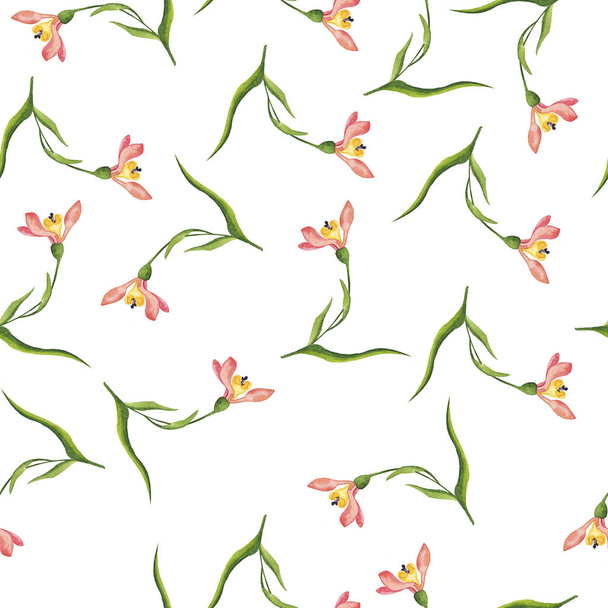 watercolor painting of wild pink flowers seamless pattern on white background - Фото, зображення
