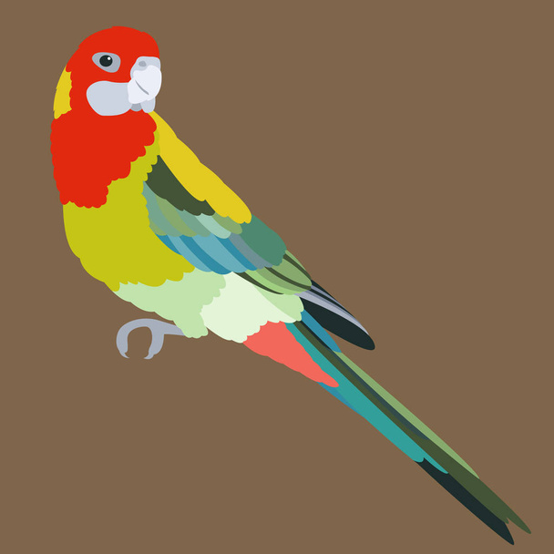  пташиний папуга Векторна ілюстрація профілю плоского стилю
  - Вектор, зображення