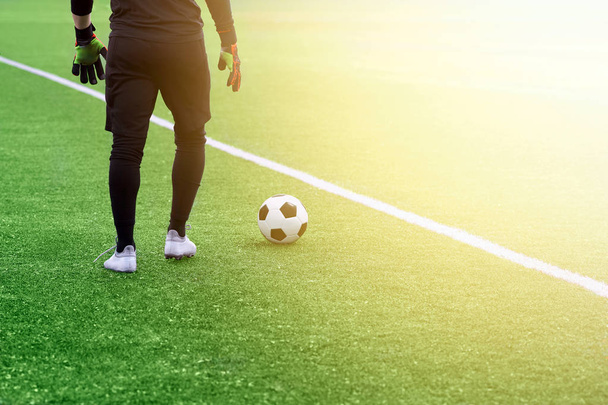 Football player on a green field with a soccer ball. - Fotó, kép