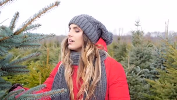Man and woman looking for a christmas tree  - Footage, Video