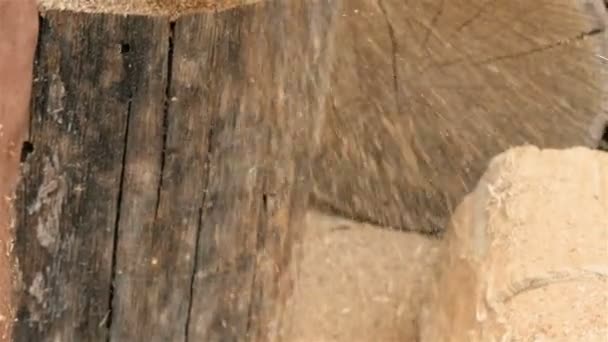 Wood shavings in slow motion. Chainsaw in process - Footage, Video