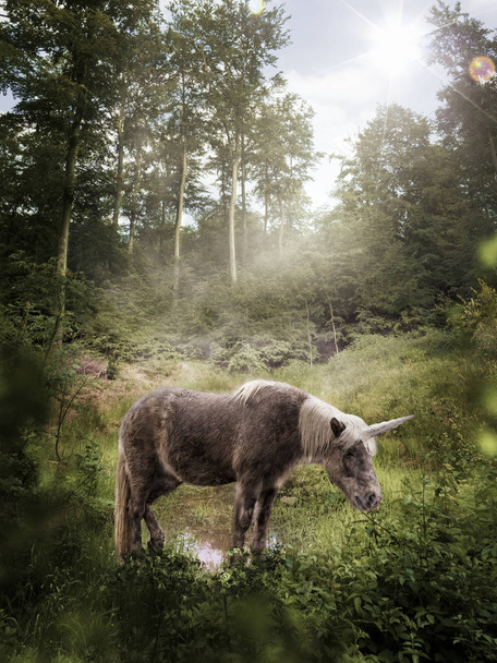 Маленький єдиноріг стоїть в галявині
 - Фото, зображення