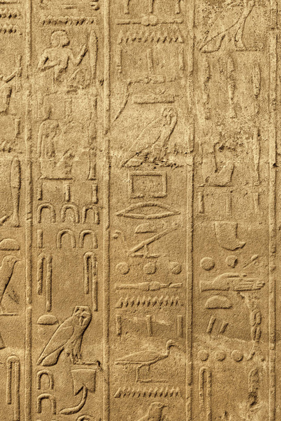 カルナック神殿の古代エジプト美術 - 写真・画像
