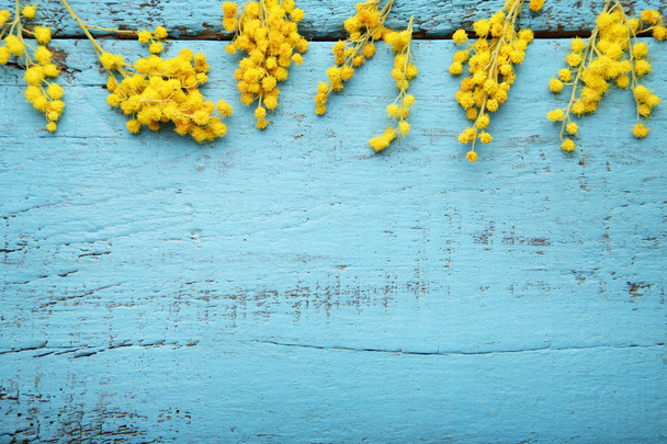 Mimosa flowers on blue wooden table - Foto, afbeelding