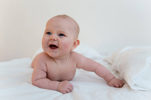 Newborn infant baby - Photo, image