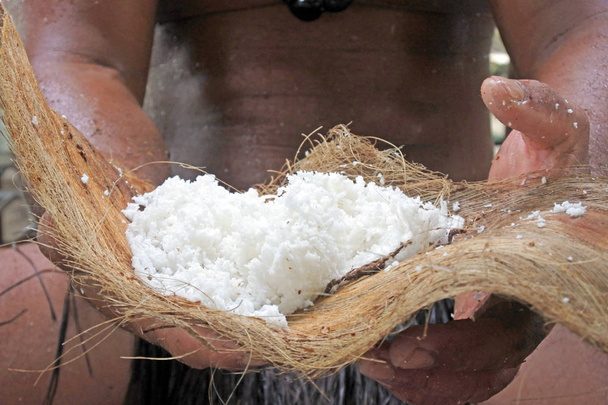 Koch Insulaner hält getrocknete Kokosfrucht in rarotonga co - Foto, Bild