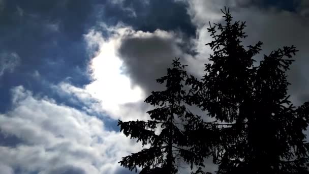 雲は空を高速で飛んでいます。強い風。左側にある 2 つのクリスマス ツリーは、します。. - 映像、動画