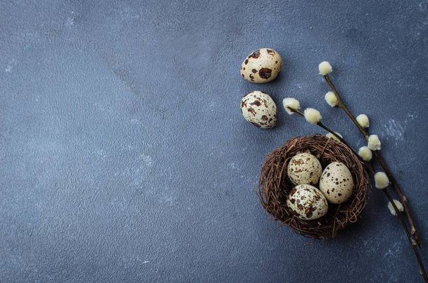 Pasen eieren in het nest met wilg op blauwe steen beton tabelachtergrond. Kopieer ruimte, bovenaanzicht. Vakantie Concept achtergrond - Foto, afbeelding