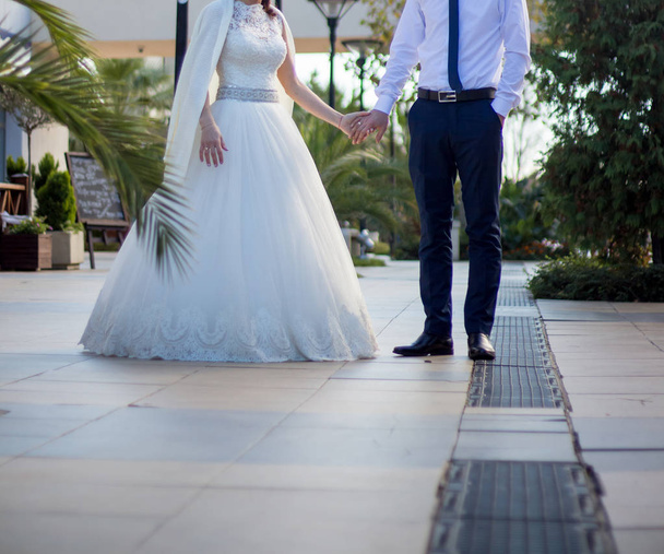 Η νύφη και ο γαμπρός περπατούν στο πάρκο. - Φωτογραφία, εικόνα