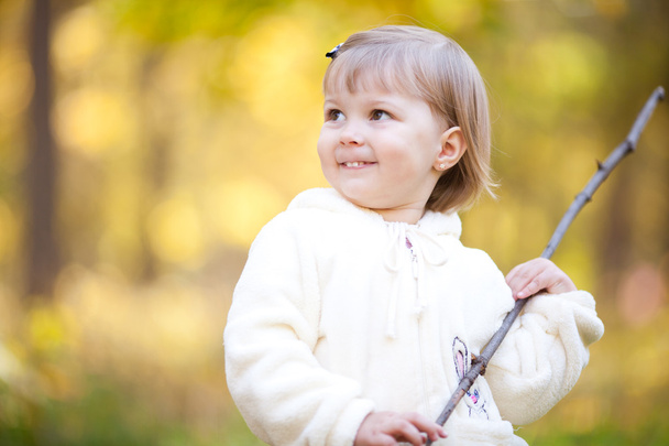 красива маленька дівчинка з палицею на осінньому лісі
 - Фото, зображення