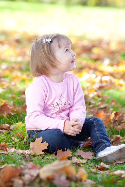 beautiful little girl sitting on the autumn leaves - Foto, imagen