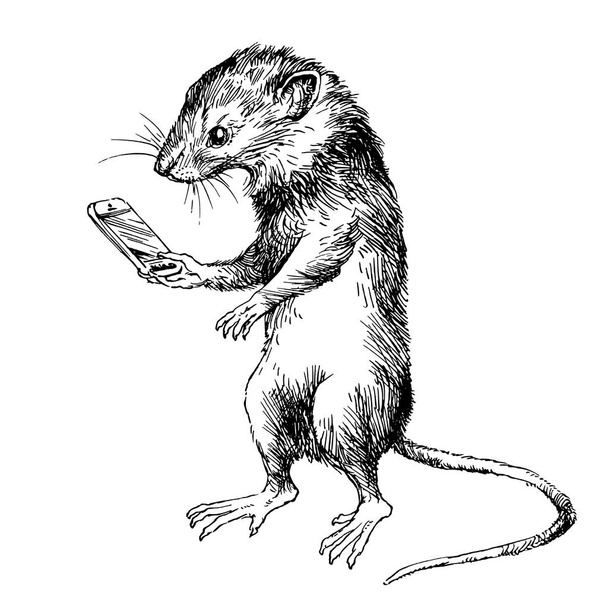 Funny mouse looking at phone. Hand drawn illustration. - Vector, Image
