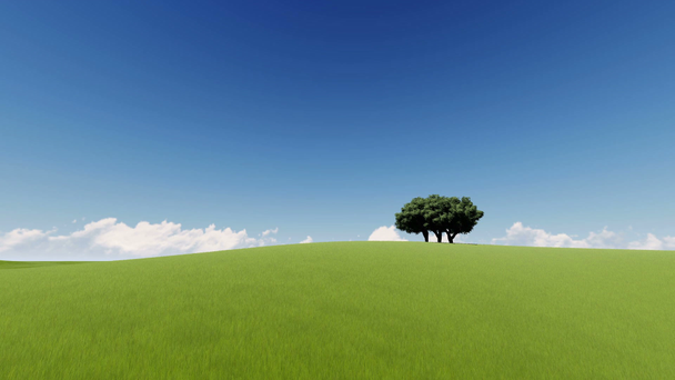 A zöld mező Oaks - Felvétel, videó