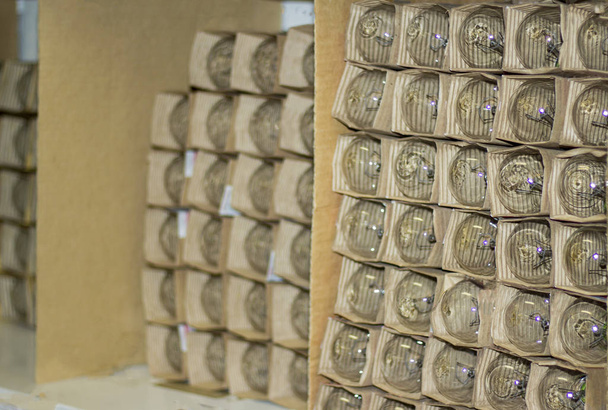 контейнеры с большим количеством ламп накаливания на складе строительного магазина во второй половине дня
 - Фото, изображение