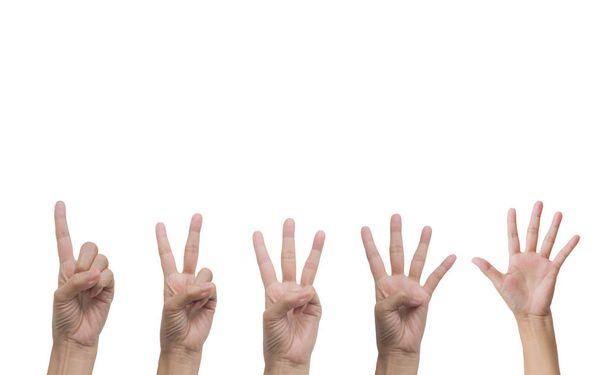 Conjunto de gesto de mano y colección de signos aislados sobre fondo blanco. Múltiples gestos de mano
. - Foto, Imagen